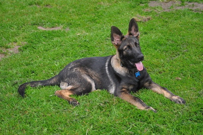 10345529_662284477192602_2991786276125163171_n1